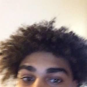 Meet your Posher, Bedereina